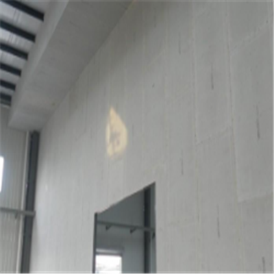仁怀新型建筑材料掺多种工业废渣的ALC|ACC|FPS模块板材轻质隔墙板